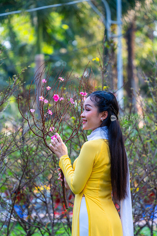 越南女孩穿着传统的ao dai服装，手持花枝在越南享受新年。春节和新年。